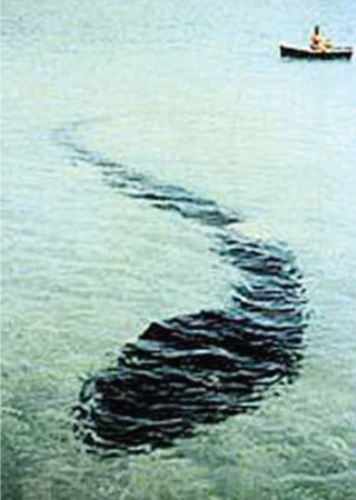 Unexplained mysteries and paranormal events image 15