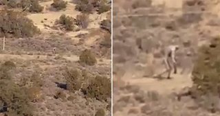 Unexplained mysteries and paranormal events image 29