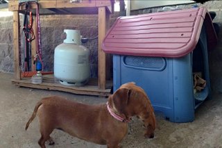 Panoramic Photos Gone Wrong image 67