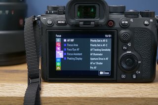 Sony A1 review photo 11