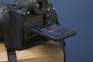 Sony A1 review photo 13